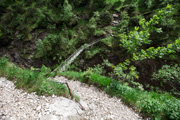 Hohe Brücke - Stangensteig